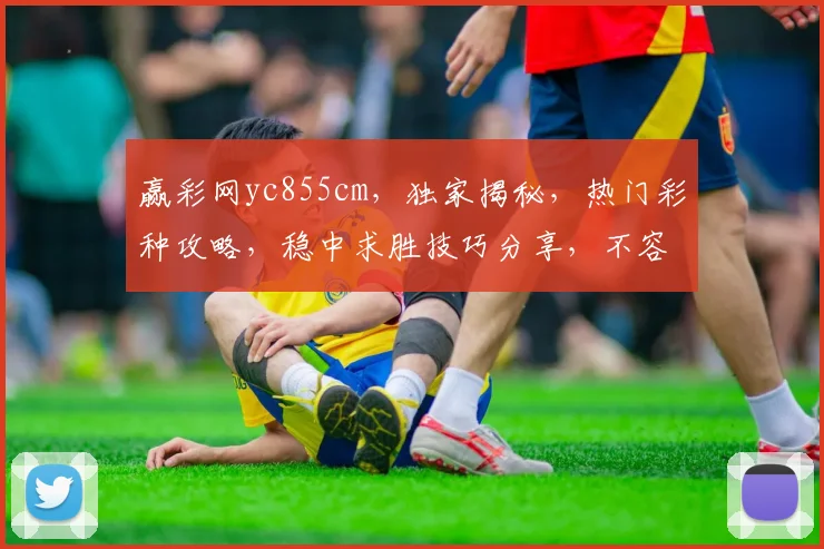赢彩网yc855cm，独家揭秘，热门彩种攻略，稳中求胜技巧分享，不容错过