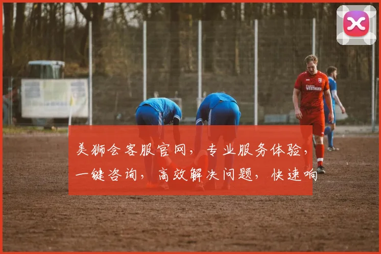 美狮会客服官网，专业服务体验，一键咨询，高效解决问题，快速响应，信赖之选