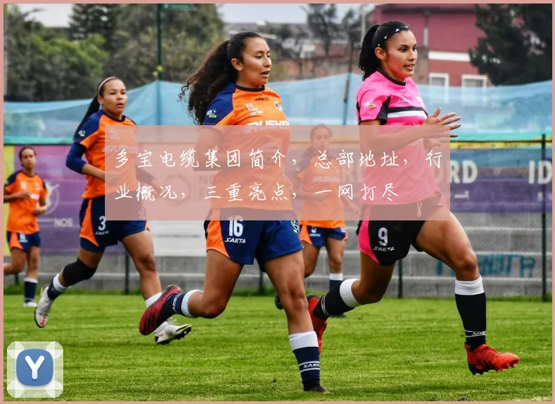 多宝电缆集团简介，总部地址，行业概况，三重亮点，一网打尽