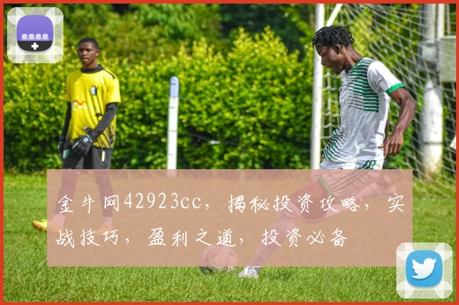 金牛网42923cc，揭秘投资攻略，实战技巧，盈利之道，投资必备